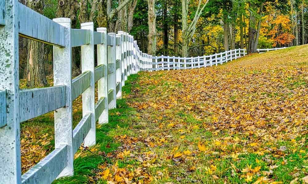 Fence height for privacy, security and style