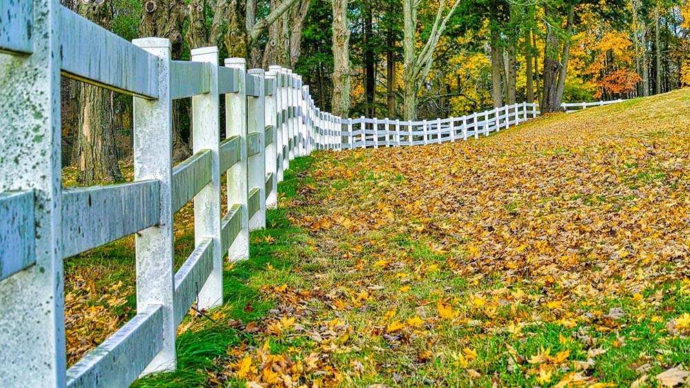 Fence height for privacy, security and style