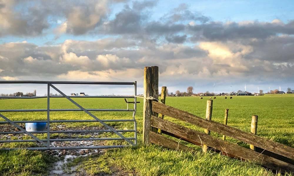 Rural landscape with a metal gate and wooden fence opening to a vast green field under a cloudy sky.