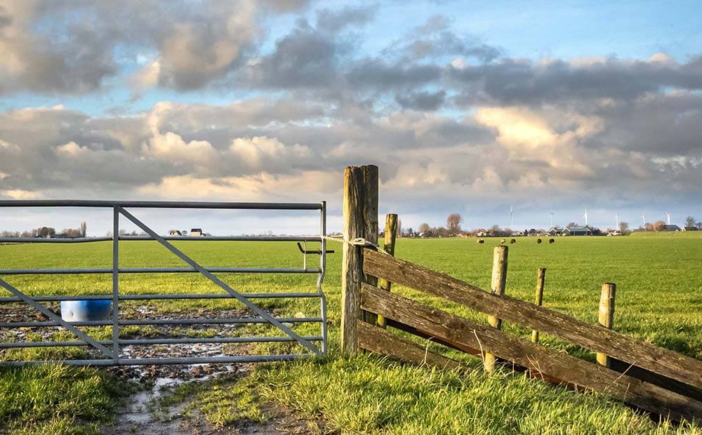 Rural landscape with a metal gate and wooden fence opening to a vast green field under a cloudy sky.