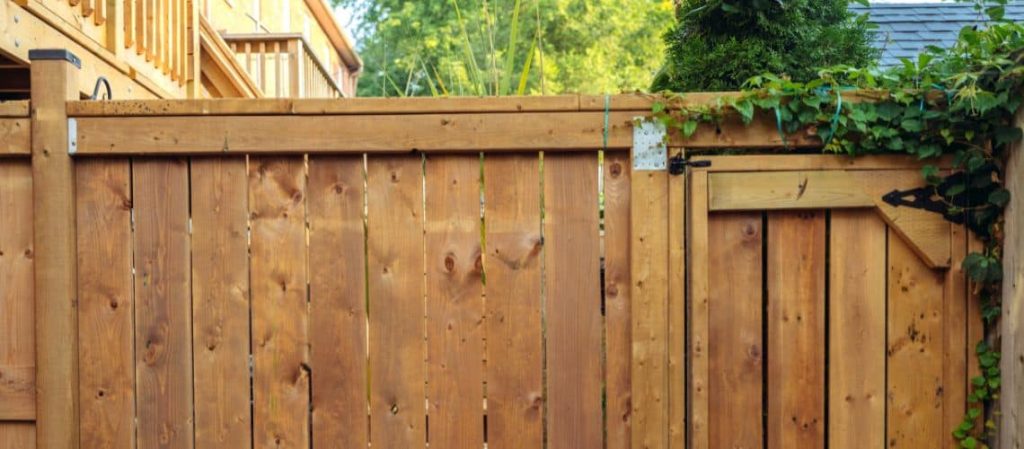 a well-maintained wooden privacy fence