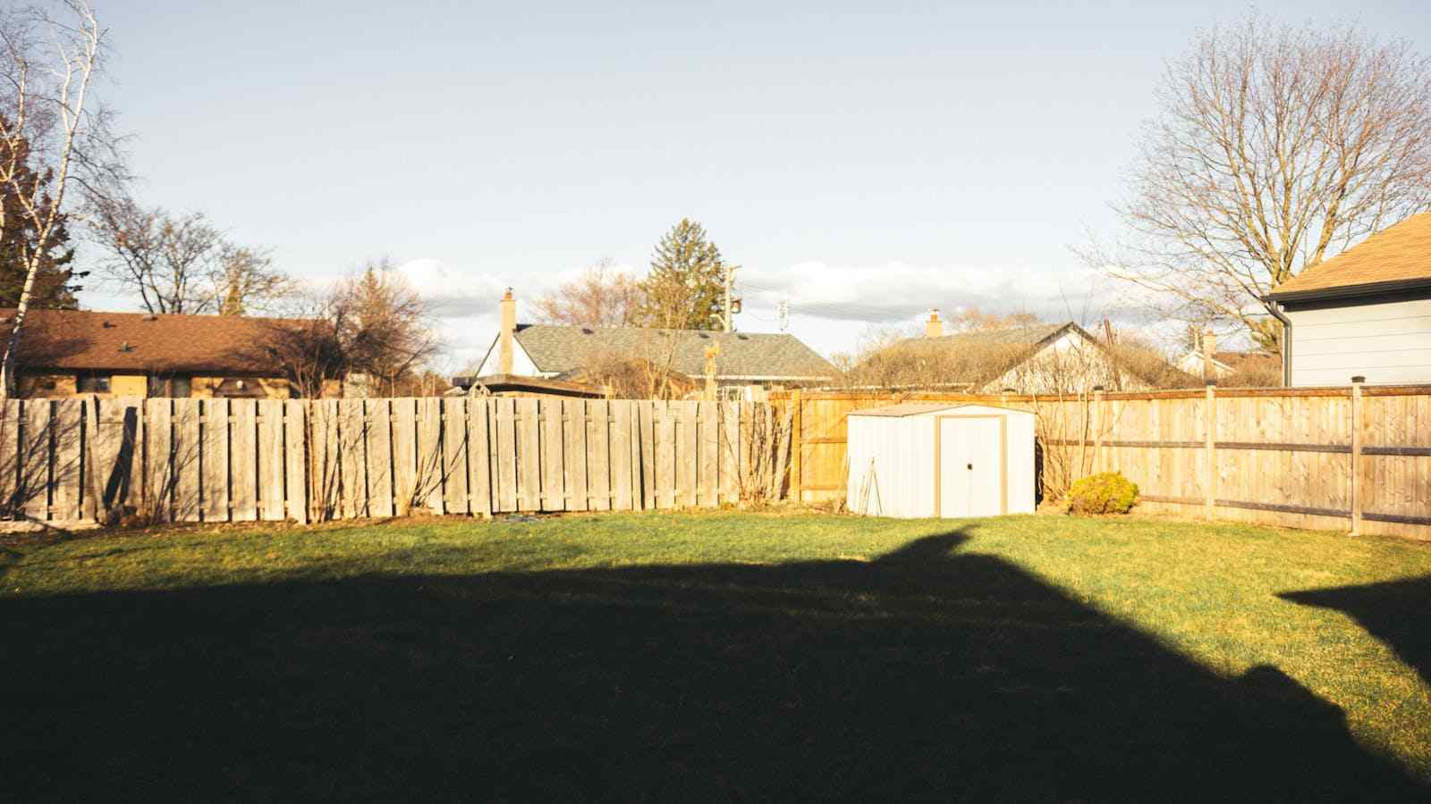 Residential backyard with wooden fence, shed, lawns, and tree shadows on a sunny day