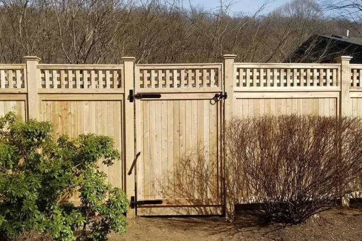 Privacy Fence