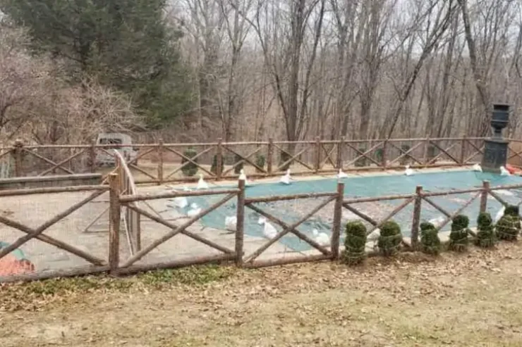 custom-bark-on-cedar-pool-fence_2000-1 (1)