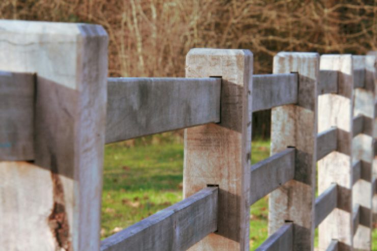 pexels-kiangalass-35182397_optimized Wood Fence
