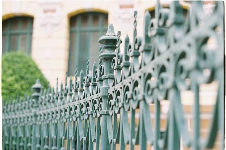 pexels-nuna05-10351682 (1)